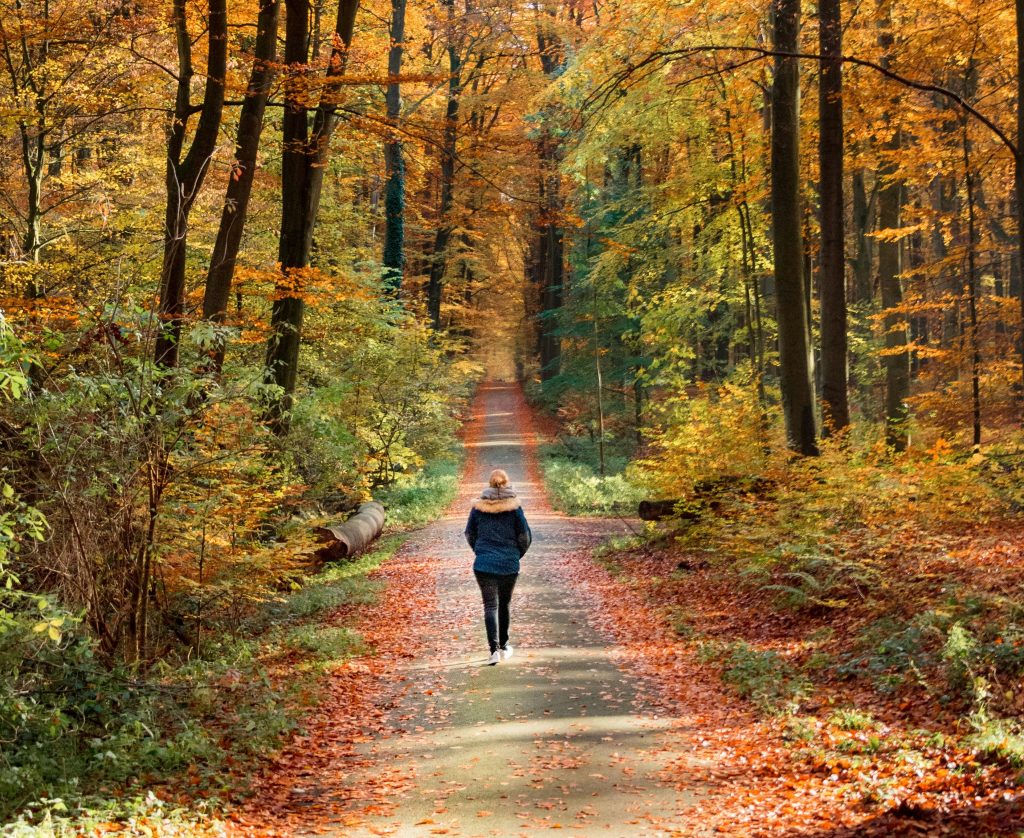 De kracht van&nbsp;wandelen