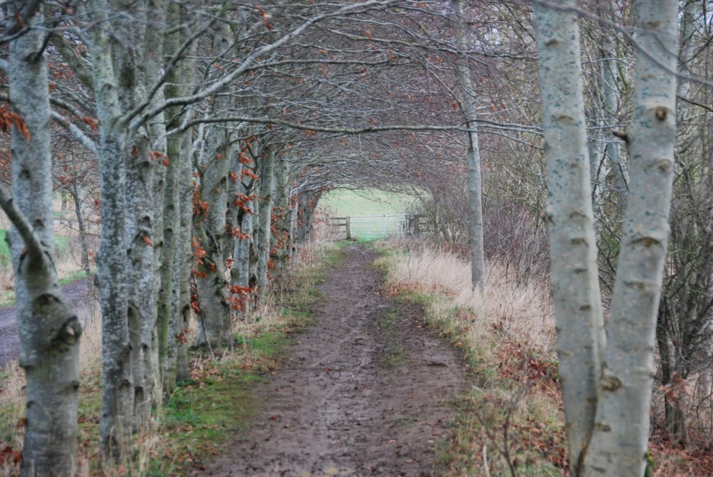 Wandelen in de kou: fris hoofd, warm hart